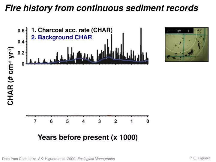 fire history from continuous sediment records