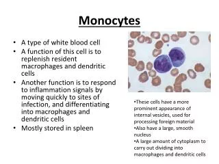 Monocytes