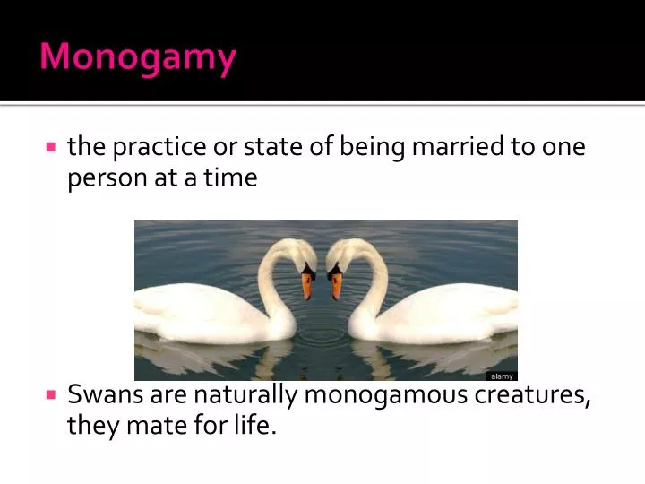 monogamy