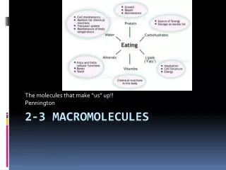 2-3 Macromolecules