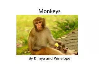 M onkeys