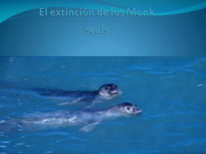 el extinci n de los monk seals