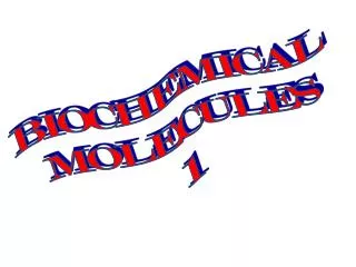 BIOCHEMICAL MOLECULES 1