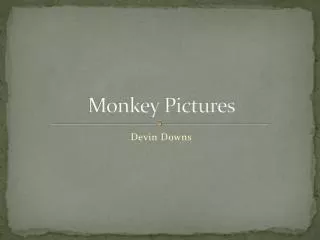 Monkey Pictures
