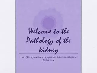 Welcome to the Pathology of the kidney