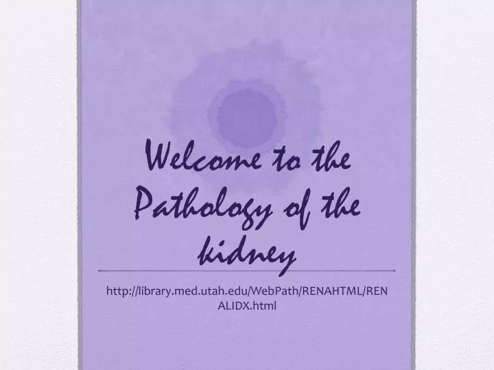 welcome to the pathology of the kidney