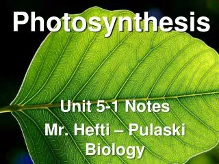 Photosynthesis