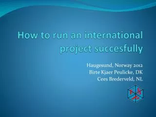 How to run an international project succesfully