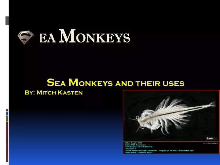 s ea m onkeys and their uses by mitch kasten