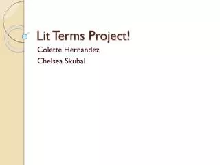 Lit Terms Project!
