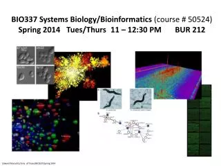 BIO337 Systems Biology/Bioinformatics (course # 50524)