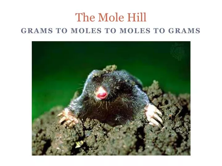 the mole hill