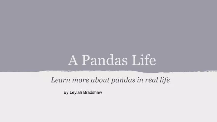 a pandas life