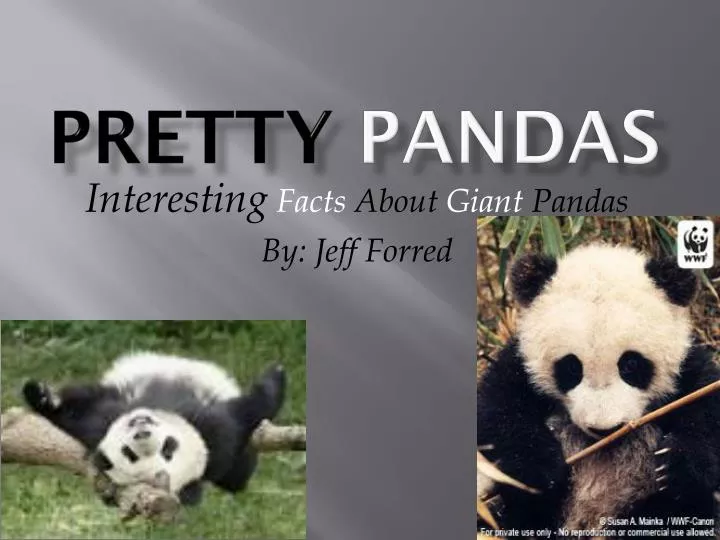 pretty pandas