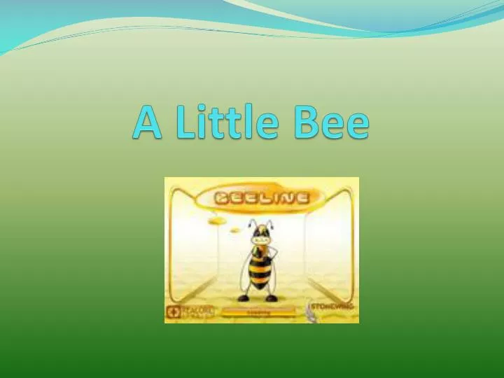 a little bee