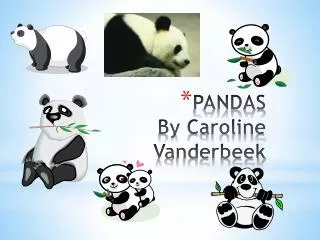 PANDAS By Caroline Vanderbeek
