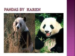 PANDAs BY KAREN