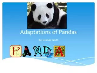 Adaptations of Pandas