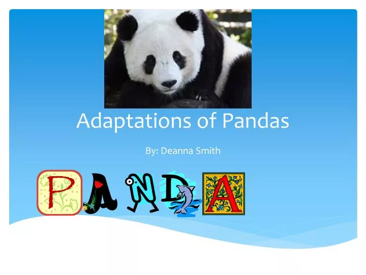 adaptations of pandas