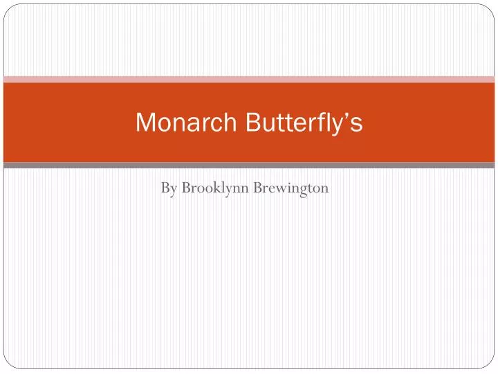 monarch butterfly s
