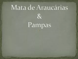 mata de arauc rias pampas