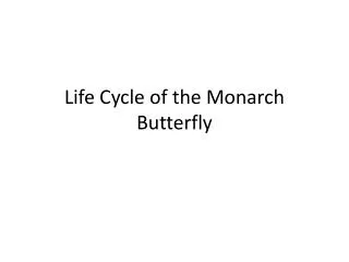 Life Cycle of the Monarch Butterfly