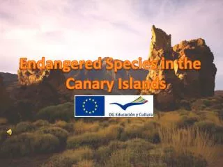 Endangered Species in the Canary Islands