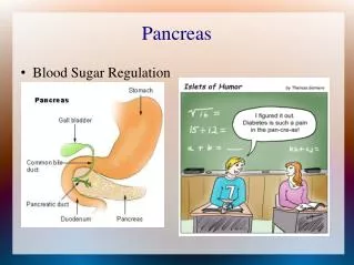 pancreas