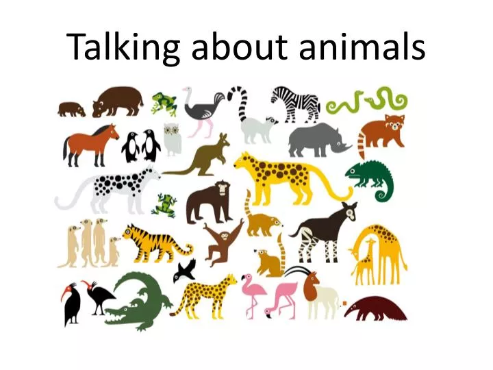 PPT - Talking about animals PowerPoint Presentation, free download -  ID:2673929
