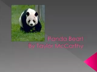 Panda Bear! By T aylor McCarthy
