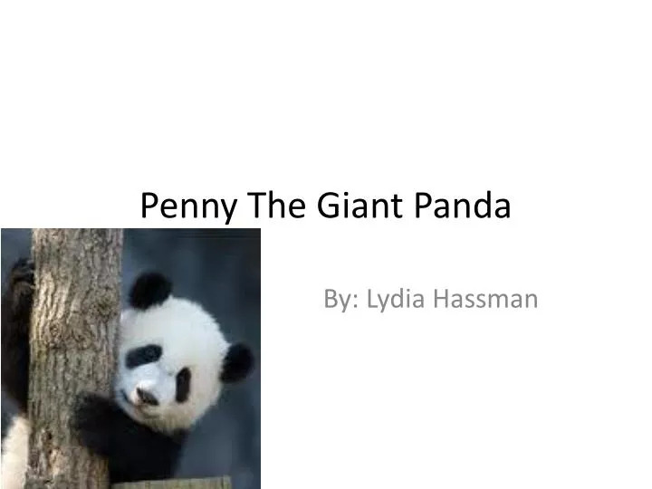 penny the giant panda