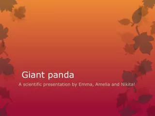 Giant panda