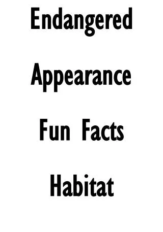Endangered Appearance Fun Facts Habitat