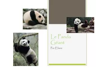 le panda g ant