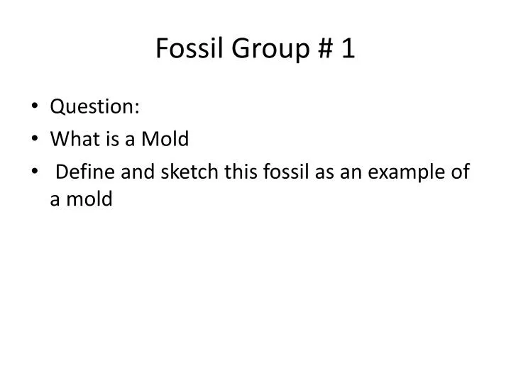 fossil group 1