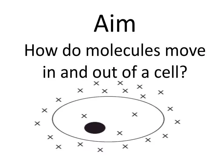 aim how do molecules move in and out of a cell