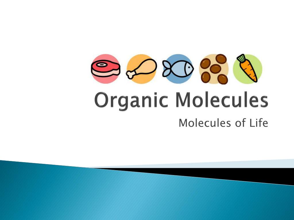 PPT - Organic Molecules PowerPoint Presentation, free download - ID:2674157