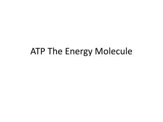 atp the energy molecule