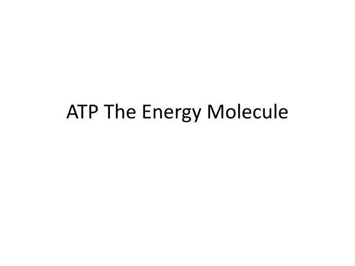 atp the energy molecule