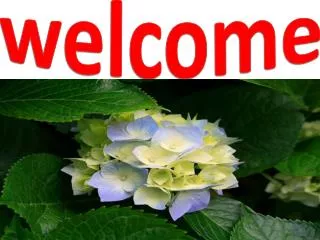 welcome