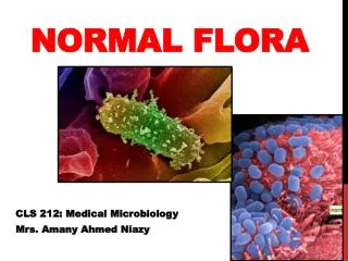 Normal Flora
