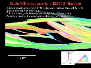 Grain/GB structure in a Bi2212 filament