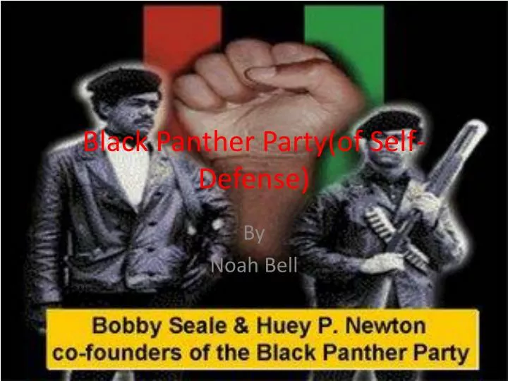 black panther party of self defense