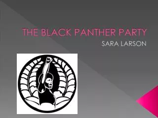THE BLACK PANTHER PARTY