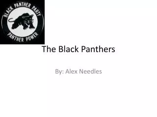 the black panthers