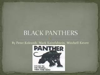 black panthers