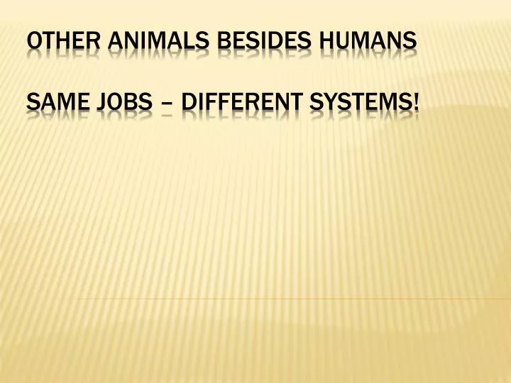 other animals besides humans same jobs different systems