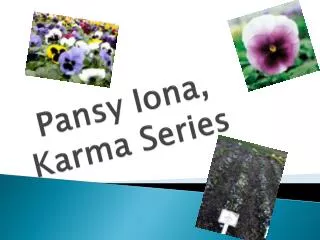 Pansy Iona, Karma Series