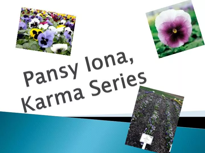 pansy iona karma series