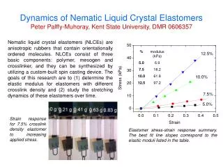Dynamics of Nematic Liquid Crystal Elastomers